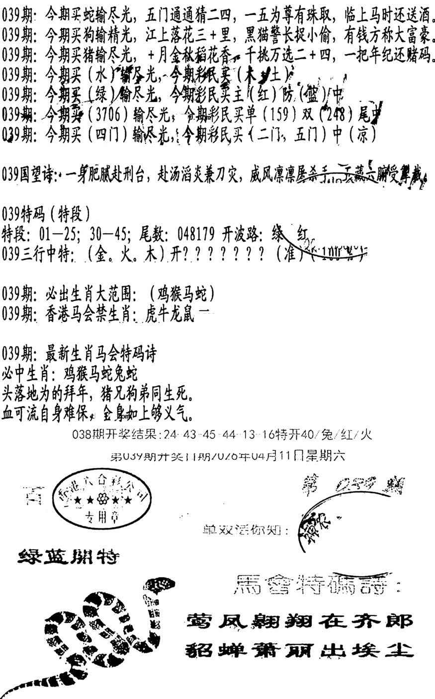 039期蛇报B[图]