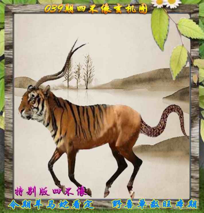 039期四不像特别版[图]